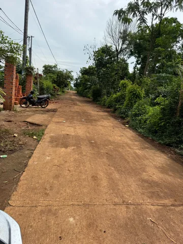Bất động sản tại Đắk Lắk - ảnh 1