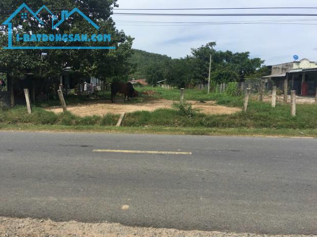 Bất động sản tại Bình Thuận - ảnh 1