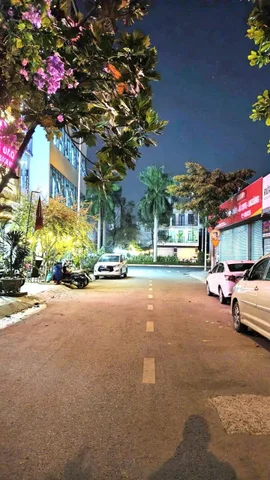 Bất động sản tại Bình Dương - ảnh 1