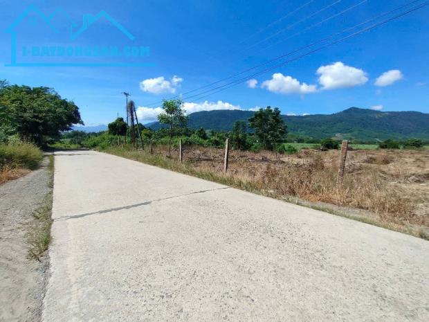 Bất động sản tại Khánh Hòa - ảnh 1