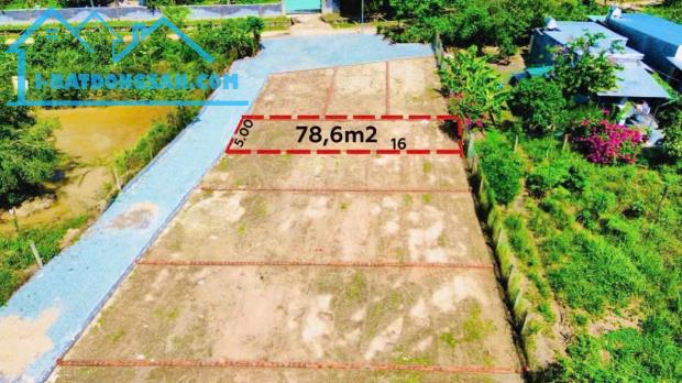 Bất động sản tại Khánh Hòa - ảnh 1