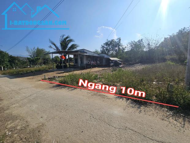 Bất động sản tại Khánh Hòa - ảnh 1