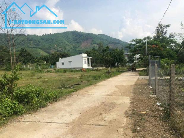 Bất động sản tại Khánh Hòa - ảnh 1