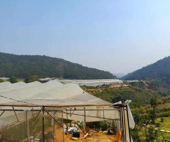 Bất động sản tại Lâm Đồng - ảnh 1