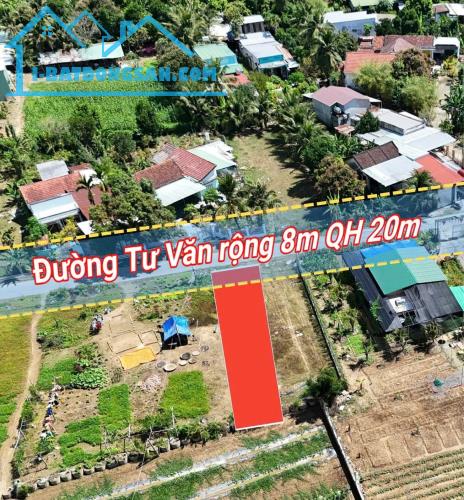 Bất động sản tại Khánh Hòa - ảnh 1