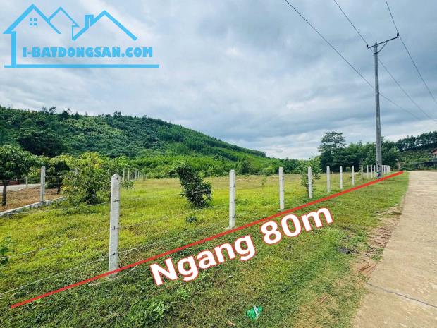 Bất động sản tại Khánh Hòa - ảnh 1