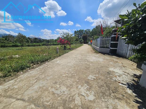Bất động sản tại Khánh Hòa - ảnh 1