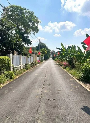 Bất động sản tại Long An - ảnh 1