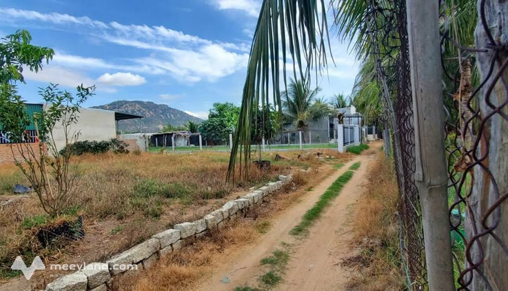 Bất động sản tại Ninh Thuận - ảnh 1