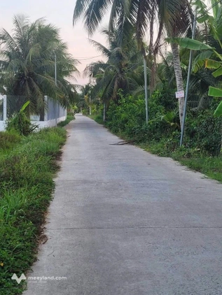 Bất động sản tại Bến Tre - ảnh 1