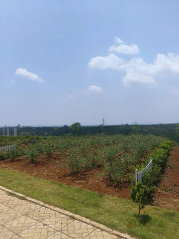 Bất động sản tại Lâm Đồng - ảnh 1