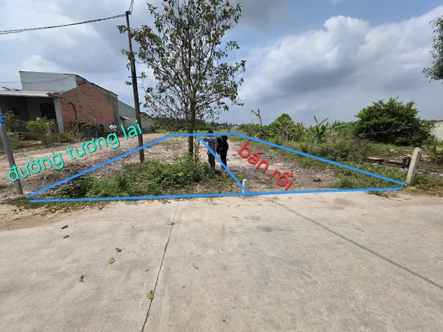Bất động sản tại Long An - ảnh 1