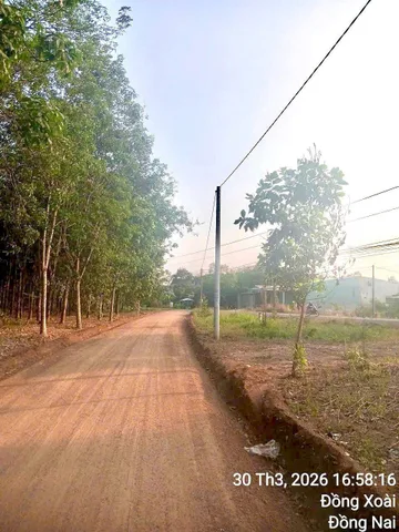 Bất động sản tại Đồng Nai - ảnh 1
