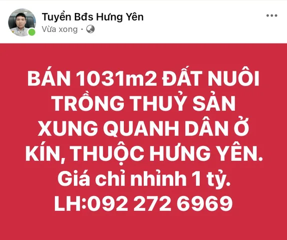 Bất động sản tại Hưng Yên - ảnh 1