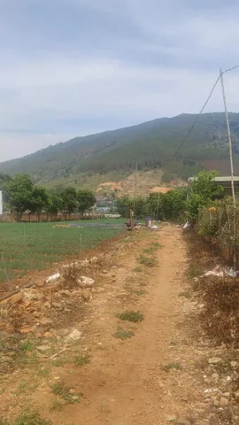 Bất động sản tại Lâm Đồng - ảnh 1