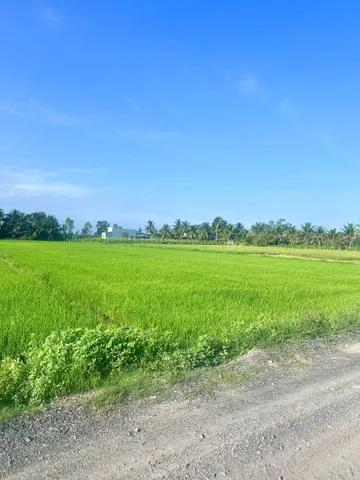 Bất động sản tại Tây Ninh - ảnh 1