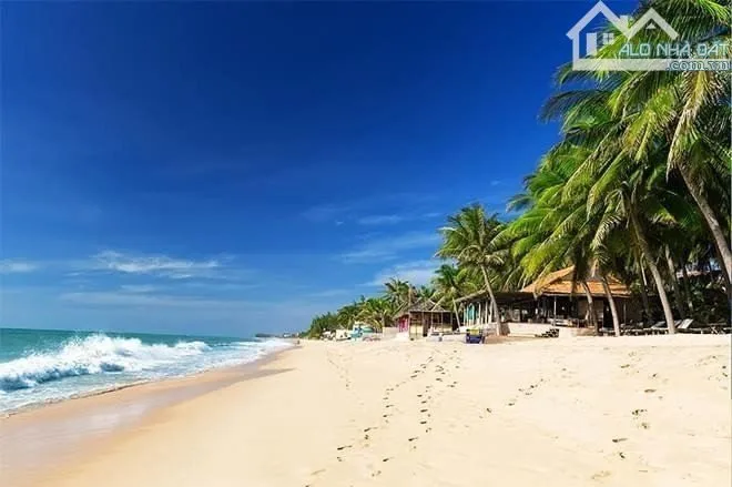 Bất động sản tại Lâm Đồng - ảnh 1