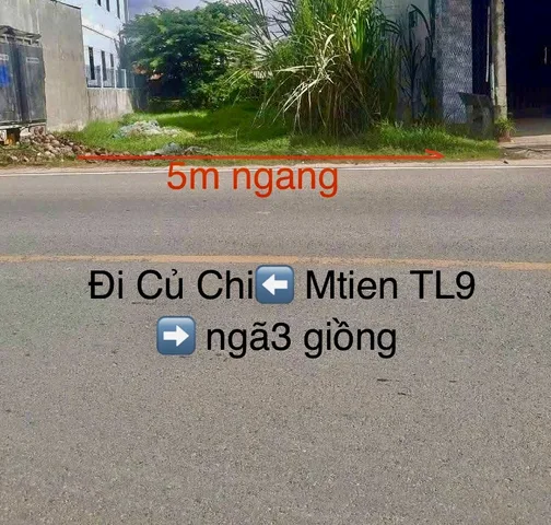 Bất động sản tại Long An - ảnh 1