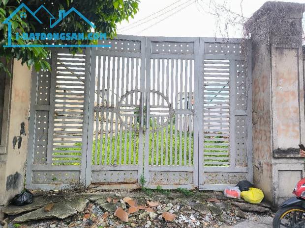 Bất động sản tại Bình Dương - ảnh 1