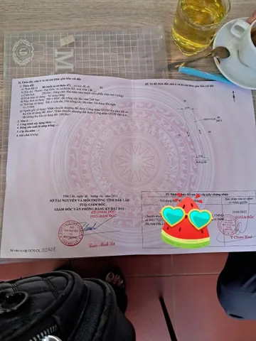 Bất động sản tại Đắk Lắk - ảnh 1