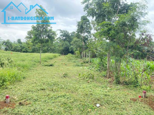 Bất động sản tại Đồng Tháp - ảnh 1