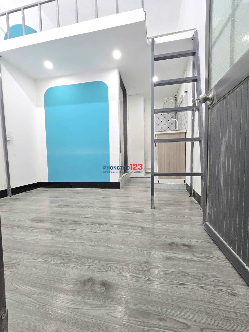 Bất động sản tại TP. Hồ Chí Minh - ảnh 1