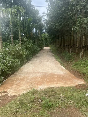 Bất động sản tại Đắk Lắk - ảnh 1