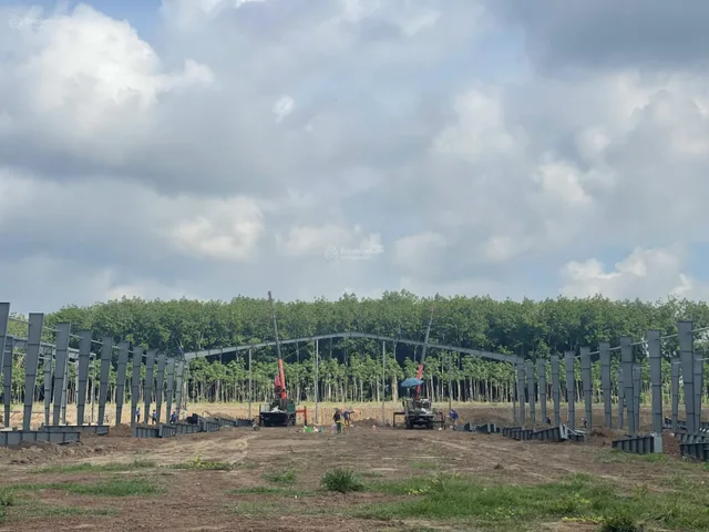 Bất động sản tại Bình Dương - ảnh 1