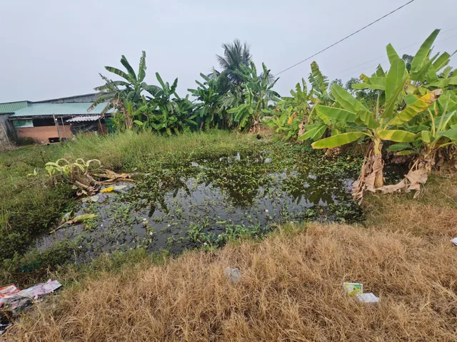 Bất động sản tại Tây Ninh - ảnh 1
