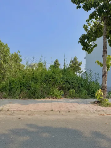 Bất động sản tại Tiền Giang - ảnh 1