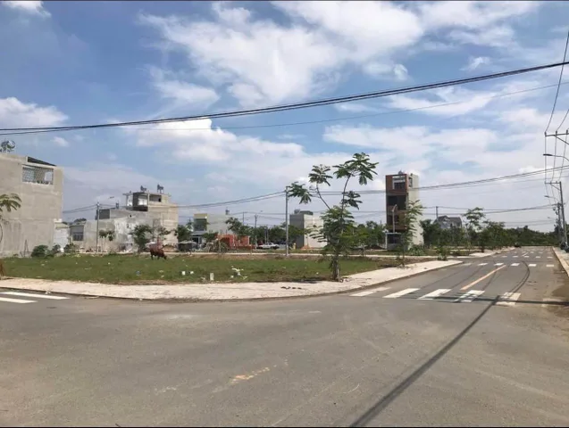 Bất động sản tại Đồng Nai - ảnh 1