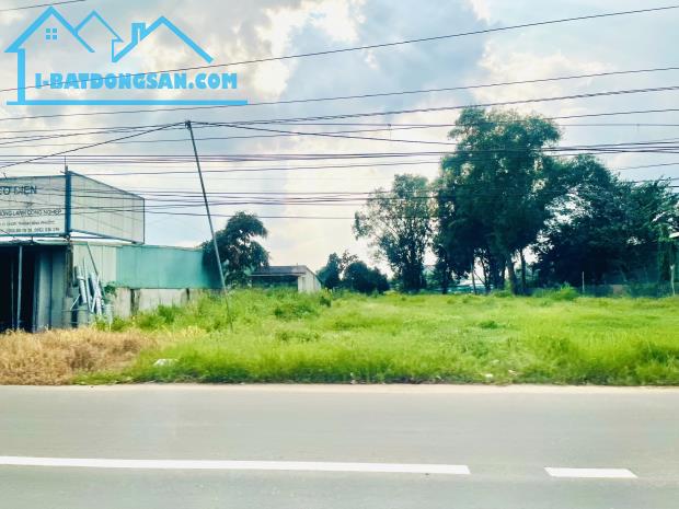 Bất động sản tại Bình Dương - ảnh 1