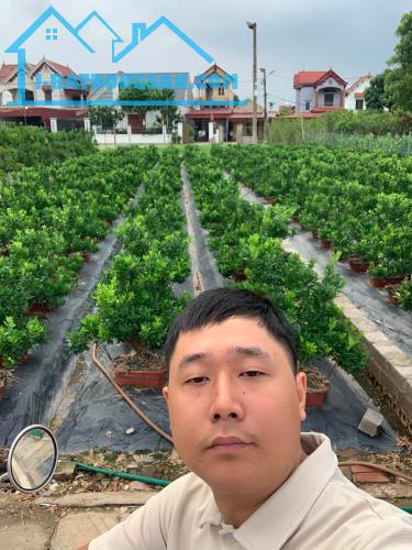 Bất động sản tại Hưng Yên - ảnh 1
