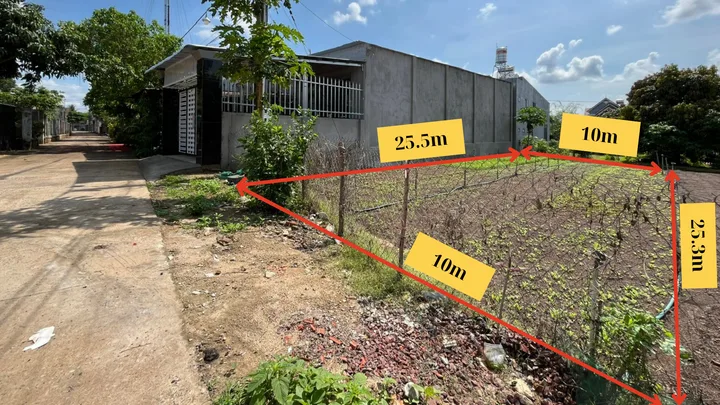 Bất động sản tại Đồng Nai - ảnh 1