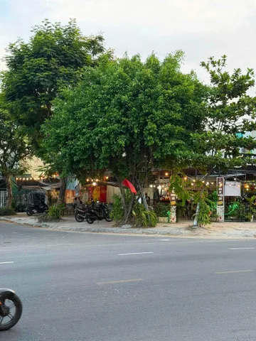 Bất động sản tại Đà Nẵng - ảnh 1
