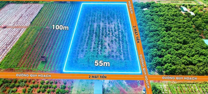 Bất động sản tại Đắk Lắk - ảnh 1