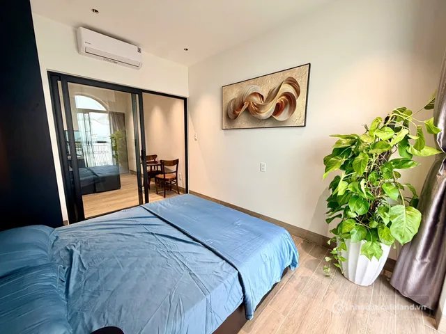 Bất động sản tại Đà Nẵng - ảnh 1