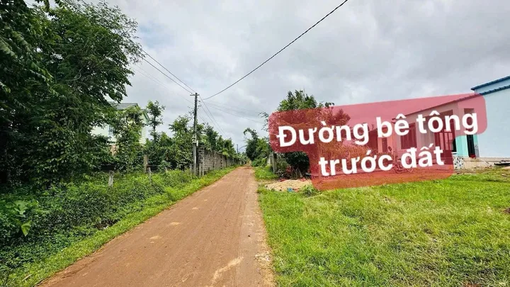 Bất động sản tại Đắk Lắk - ảnh 1