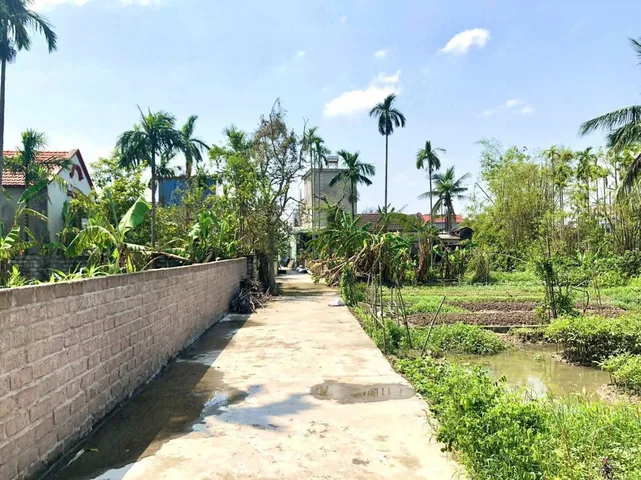 Bất động sản tại Hải Phòng - ảnh 1
