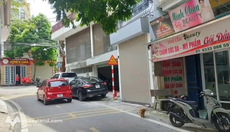 Bất động sản tại Vĩnh Phúc - ảnh 1