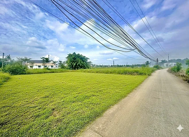 Bất động sản tại Long An - ảnh 1