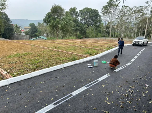 Bất động sản tại Phú Thọ - ảnh 1