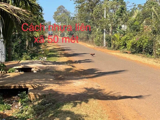Bất động sản tại Đắk Lắk - ảnh 1