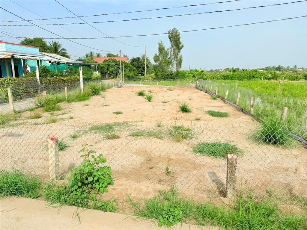 Bất động sản tại Long An - ảnh 1