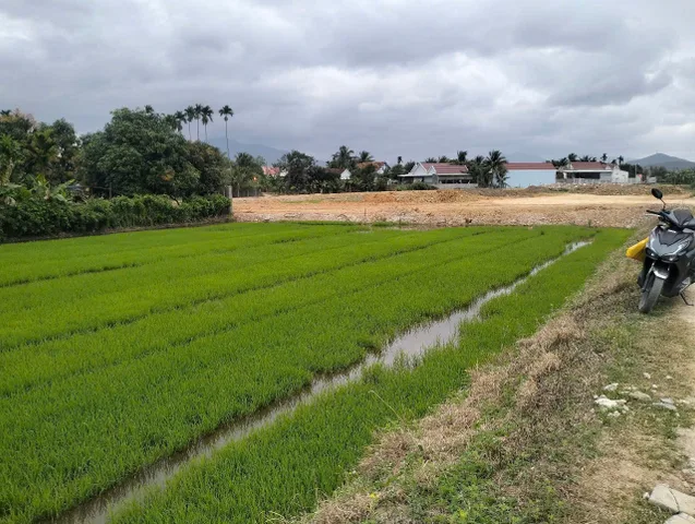 Bất động sản tại Khánh Hòa - ảnh 1