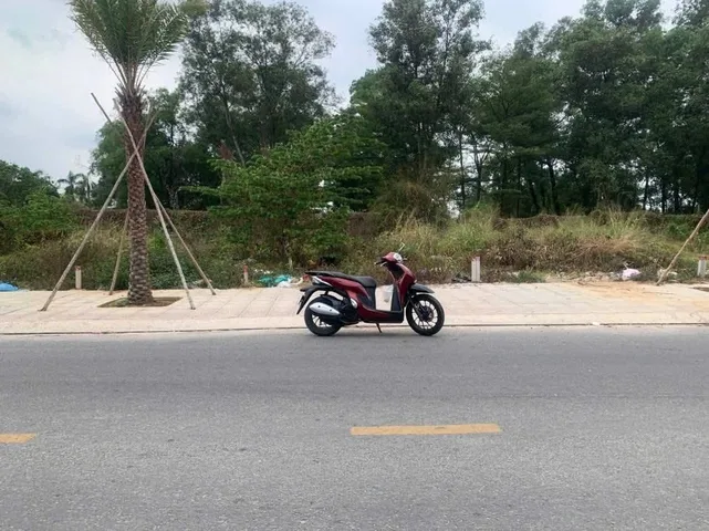 Bất động sản tại Bình Dương - ảnh 1