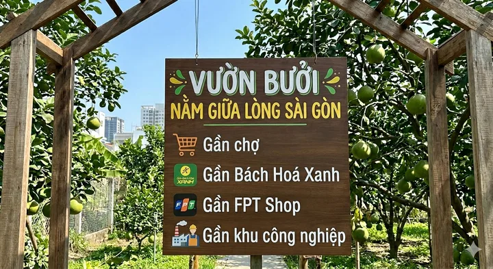 Bất động sản tại Bình Dương - ảnh 1