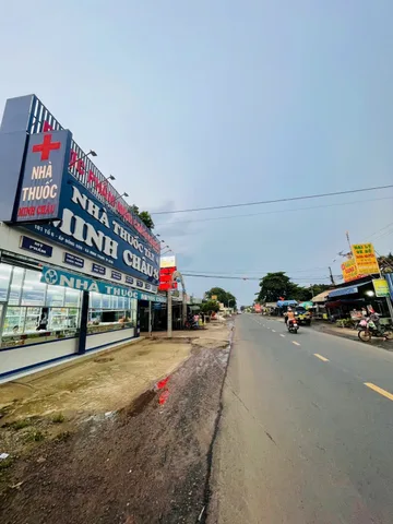 Bất động sản tại Bình Dương - ảnh 1
