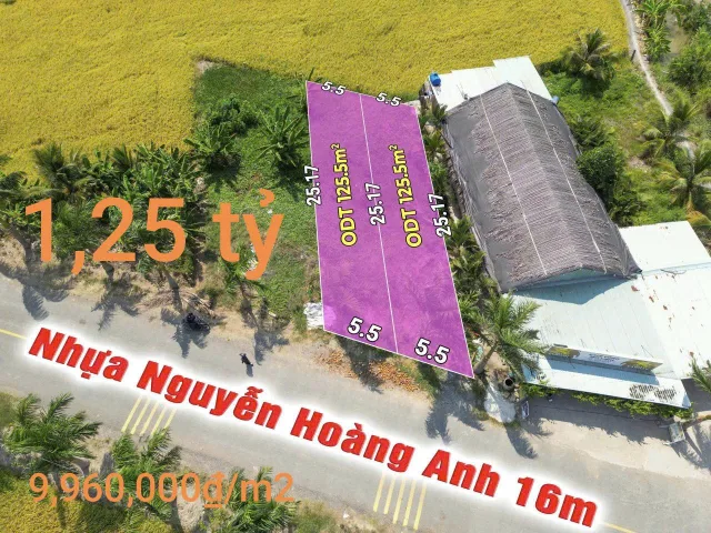 Bất động sản tại Tây Ninh - ảnh 1