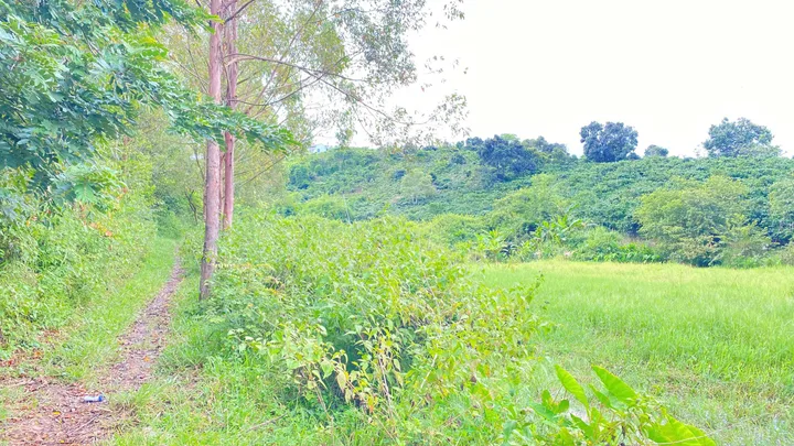 Bất động sản tại Lâm Đồng - ảnh 1